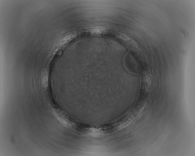 X0000115230496200911131646