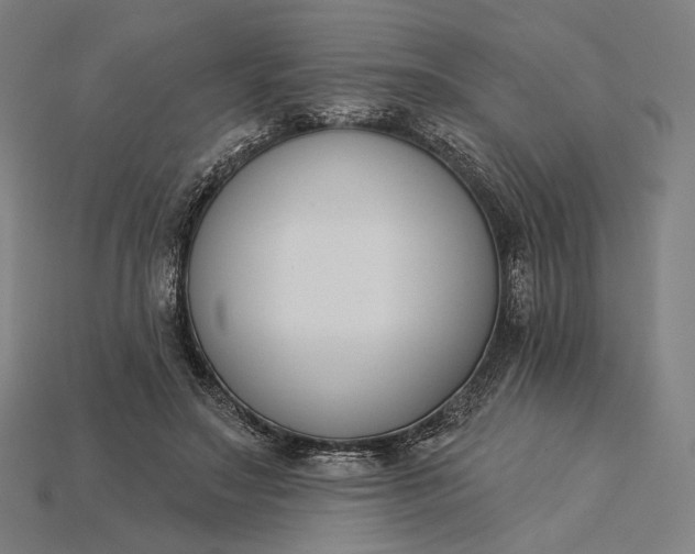 X0000115230499200911131646