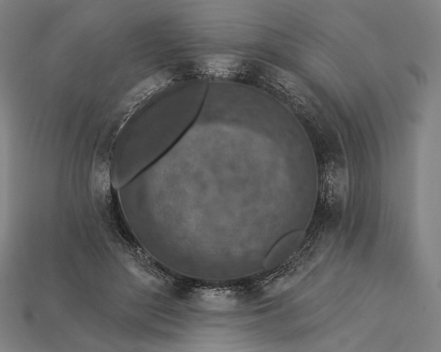 X0000115230500200911131646