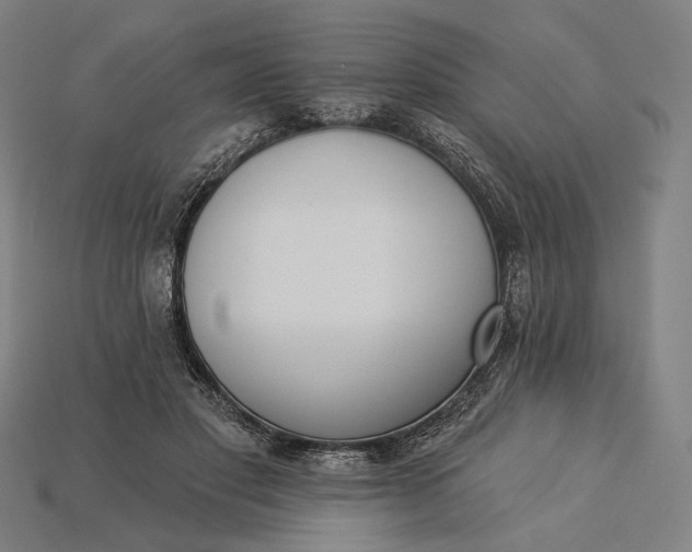 X0000115230501200911131646