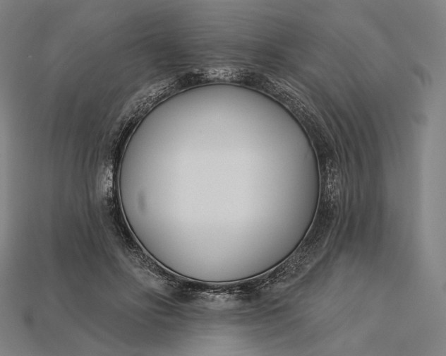 X0000115230502200911131646