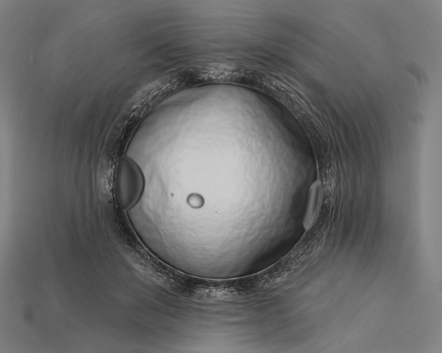 X0000115230503200911131646