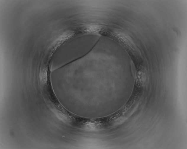 X0000115230504200911131646