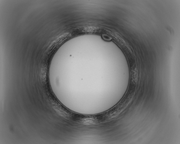 X0000115230505200911131646