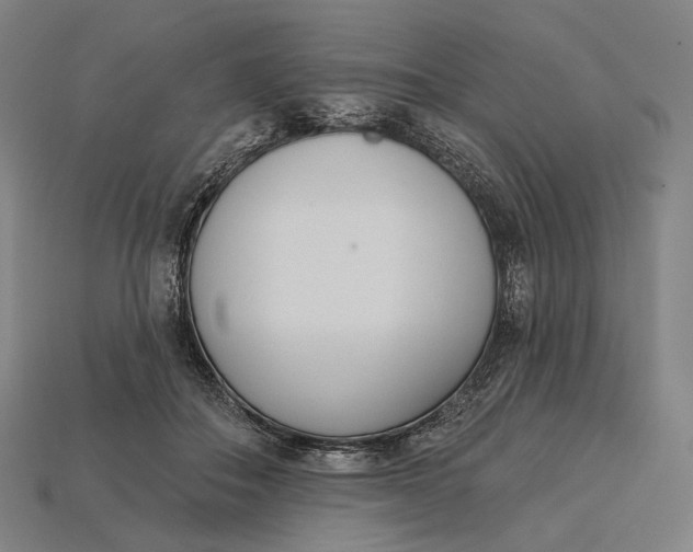 X0000115230506200911131646