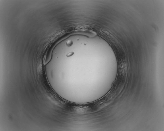 X0000115230508200911131646