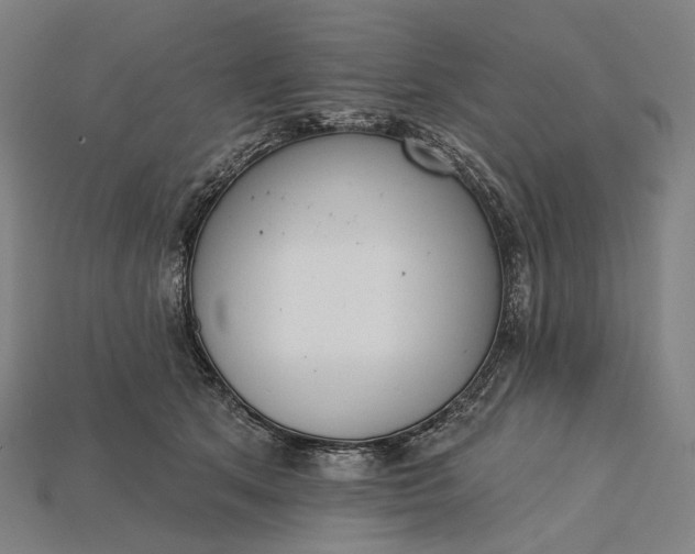 X0000115230513200911131646