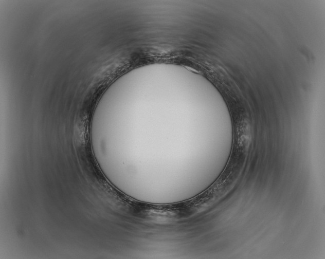 X0000115230515200911131646