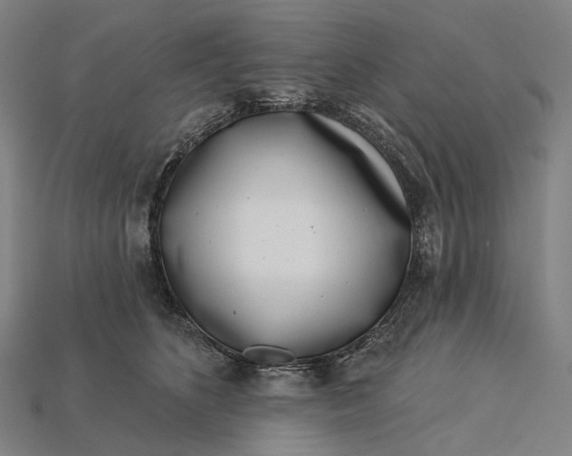 X0000115230516200911131646