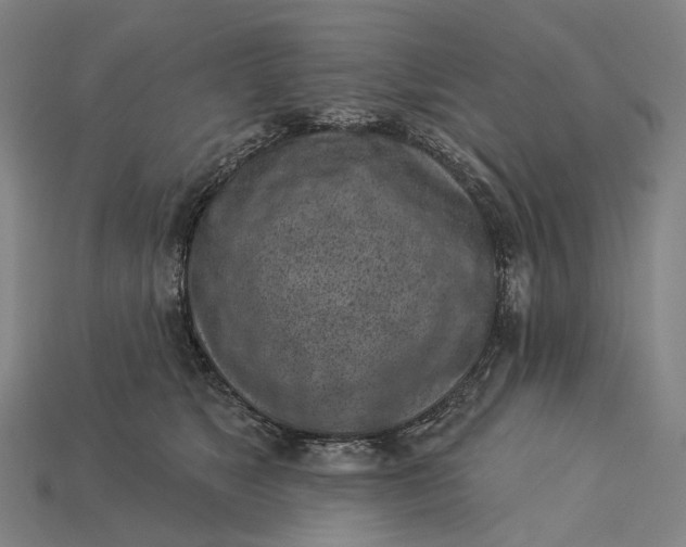 X0000115230517200911131646