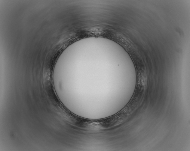 X0000115230518200911131646