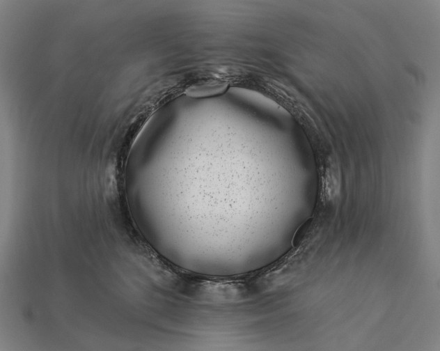 X0000115230520200911131646