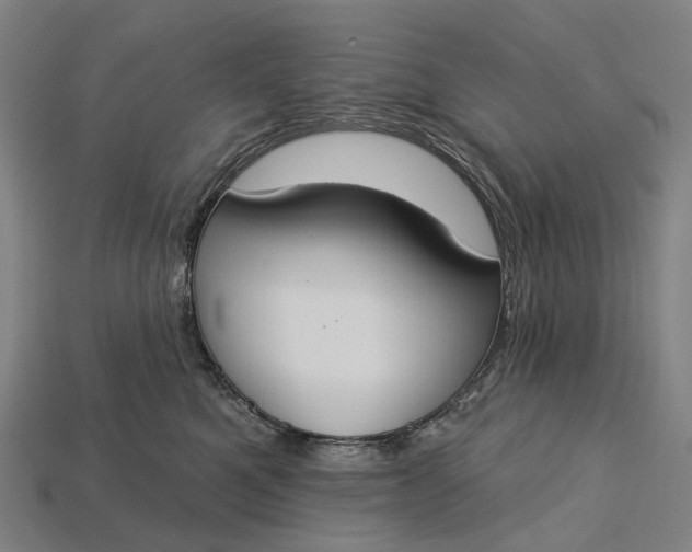 X0000115230521200911131646