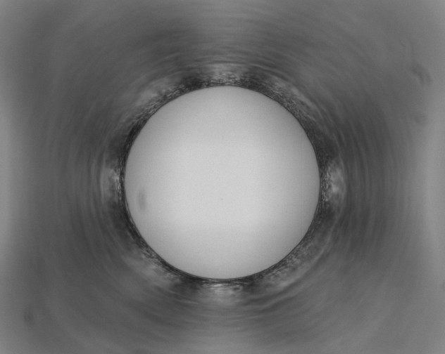 X0000115230522200911131646