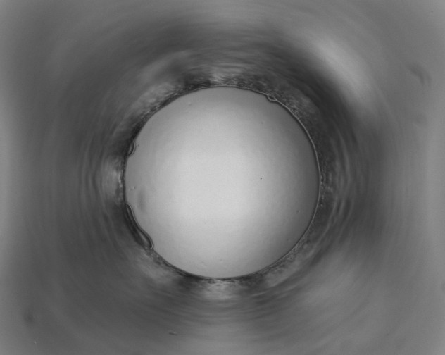 X0000115230527200911131646