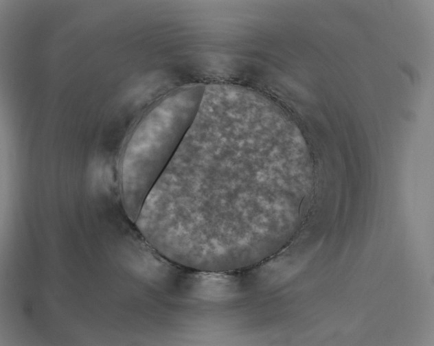 X0000115230528200911131646