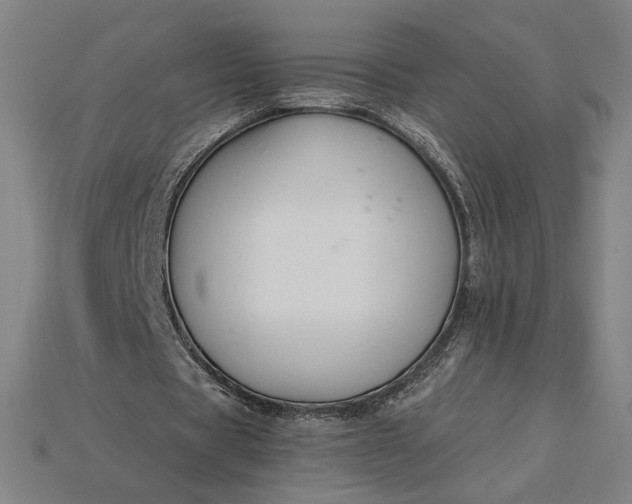 X0000115230529200911131645