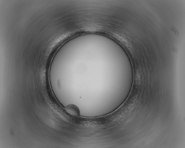 X0000115230535200911131645