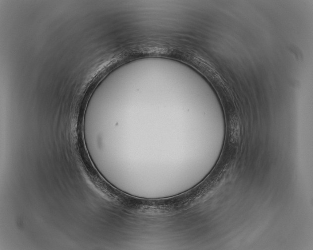 X0000115230538200911131645