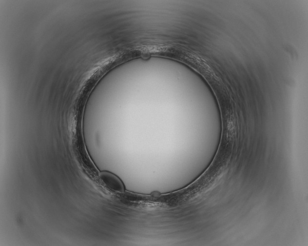 X0000115230539200911131645