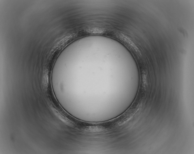 X0000115230541200911131645
