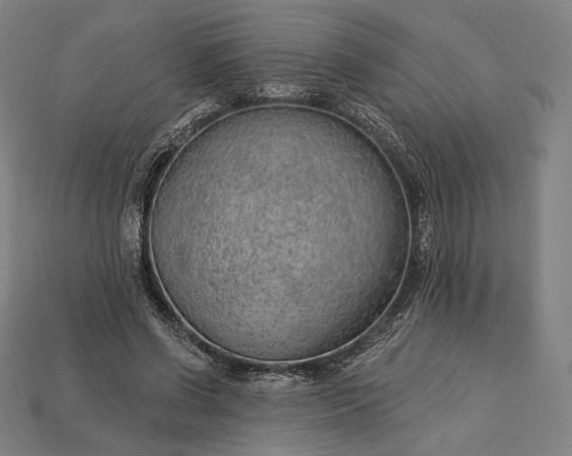 X0000115230542200911131645