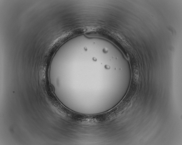 X0000115230543200911131645