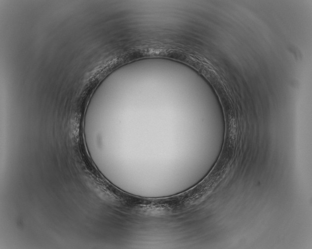 X0000115230545200911131645