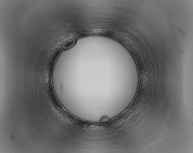X0000115230546200911131645