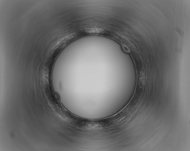 X0000115230547200911131645