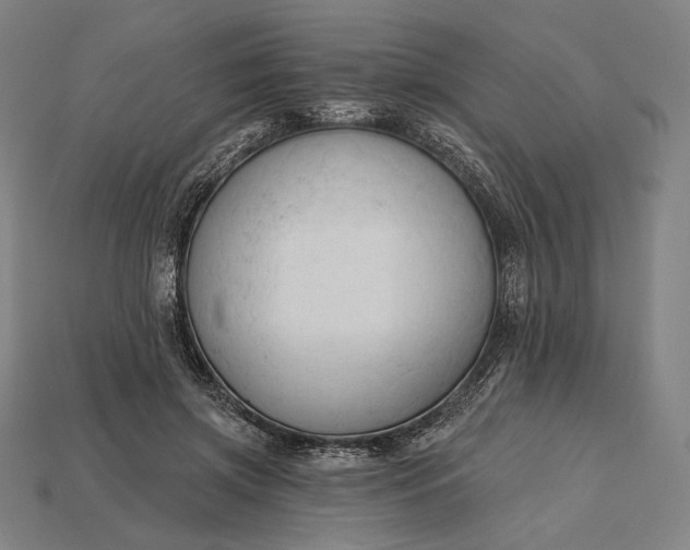 X0000115230549200911131645