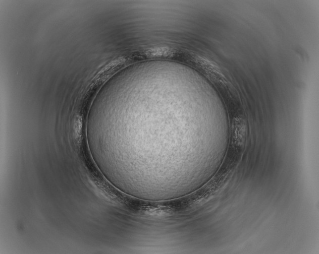 X0000115230550200911131645