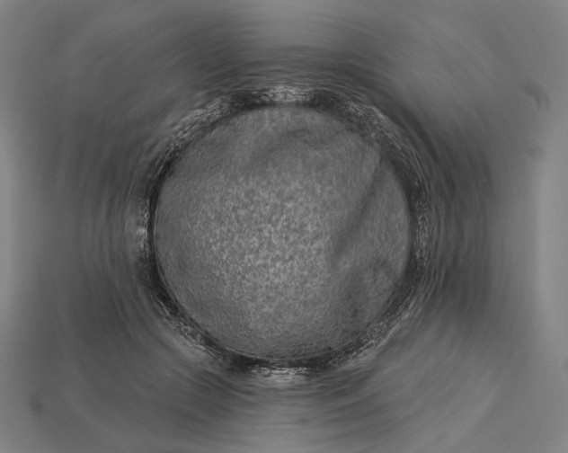 X0000115230553200911131646