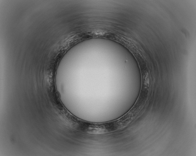 X0000115230559200911131646