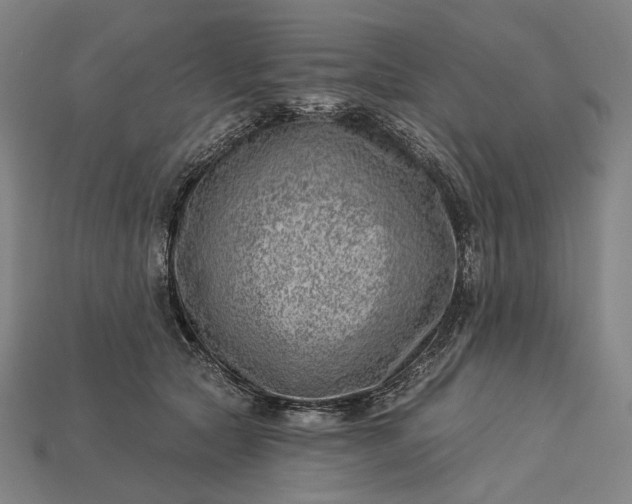 X0000115230561200911131646