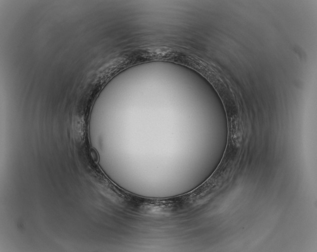 X0000115230563200911131646