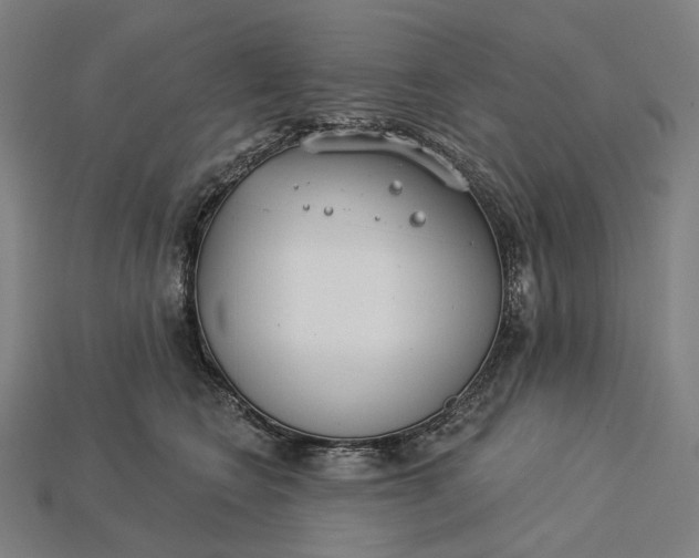 X0000115230566200911131646