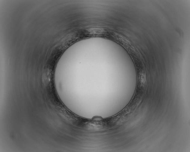 X0000115230567200911131646