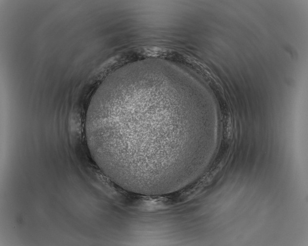 X0000115230569200911131646