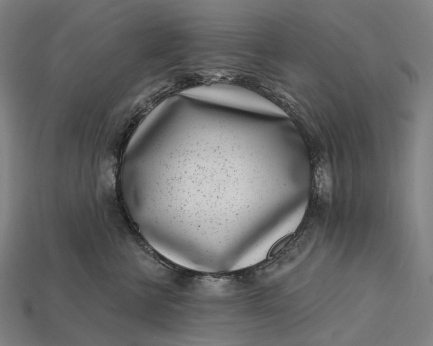 X0000115230570200911131646