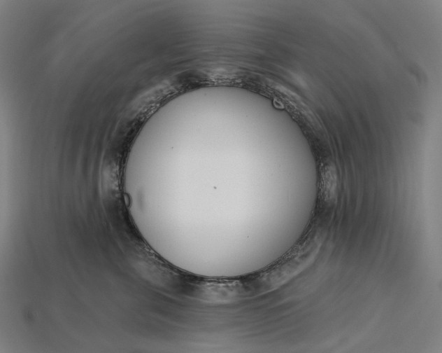 X0000115230571200911131646