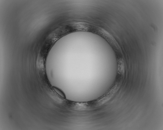 X0000115230573200911131646