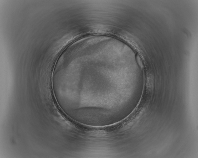 X0000115230577200911131645