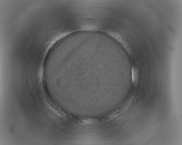 X0000115230579200911131645