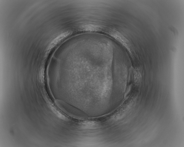 X0000115230581200911131645