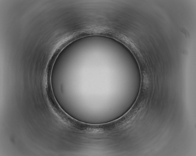 X0000115230582200911131645