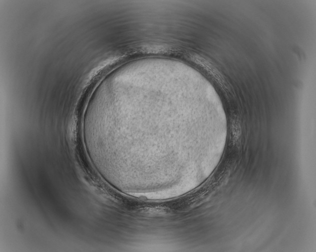X0000115230583200911131645