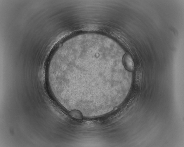 X0000115230584200911131645