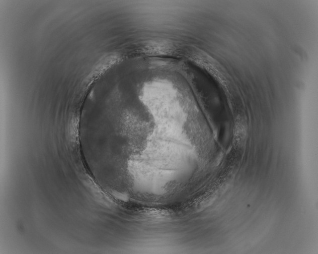 X0000115230585200911131645