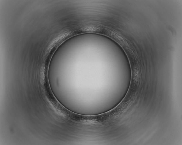 X0000115230586200911131645